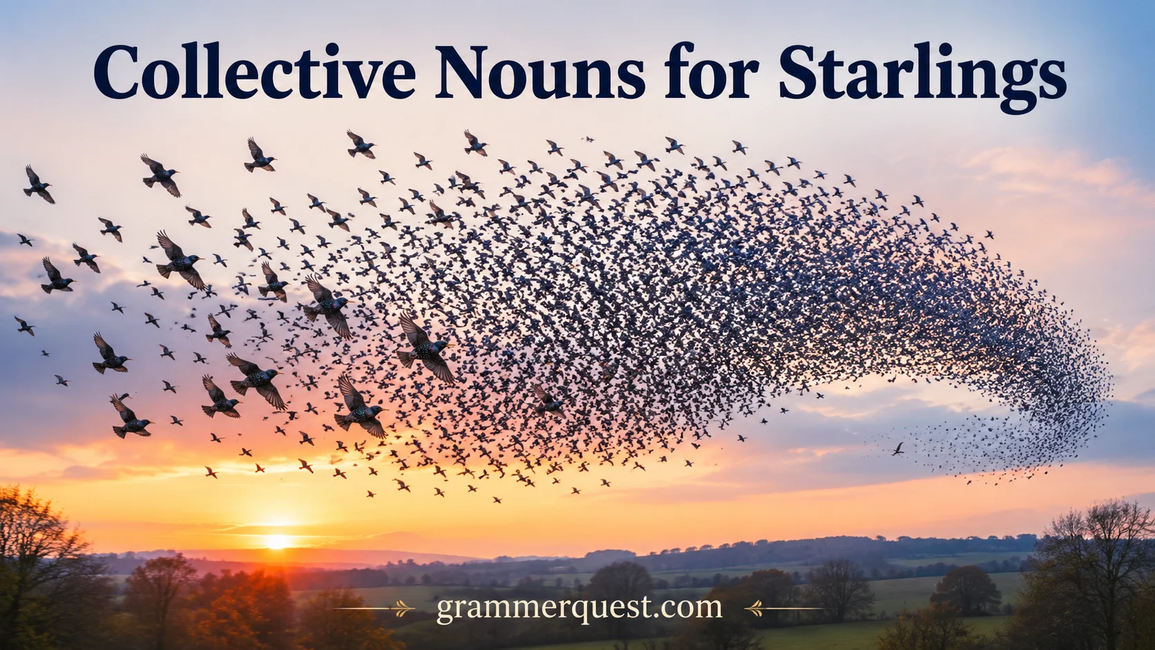Collective Nouns for Starlings