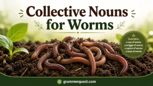 Collective Nouns for Worms