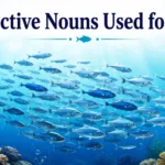 Collective Nouns Used for Fish 