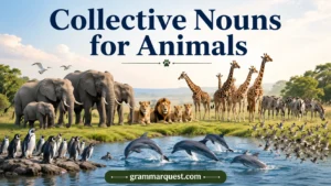 Collective Nouns for Animals