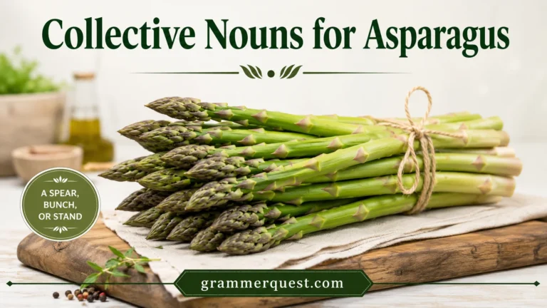 Collective Nouns for Asparagus
