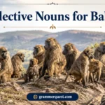 Collective Nouns for Baboon