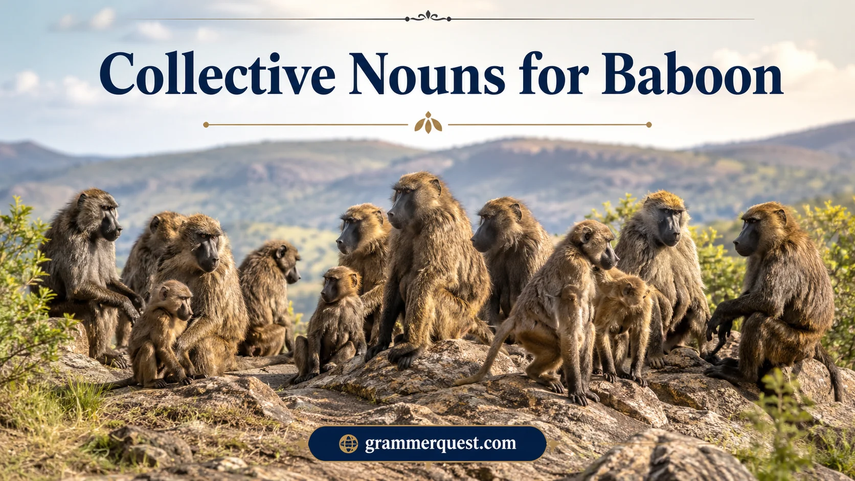 Collective Nouns for Baboon