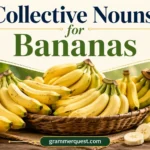 Collective Nouns for Bananas