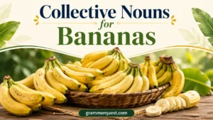 Collective Nouns for Bananas