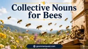 Collective Nouns for Bees