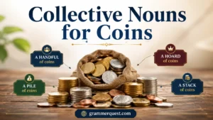 Collective Nouns for Coins