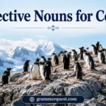 Collective Nouns for Colony