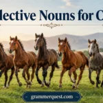 Collective Nouns for Colts