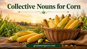Collective Nouns for Corn