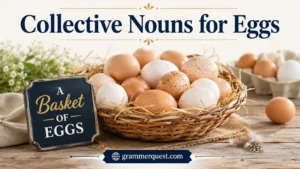 Collective Nouns for Eggs