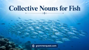 Collective Nouns for Fish