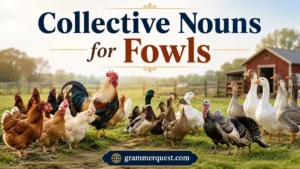 Collective Nouns for Fowls