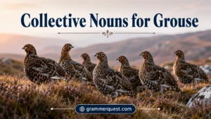 Collective Nouns for Grouse