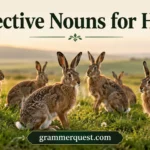 Collective Nouns for Hares