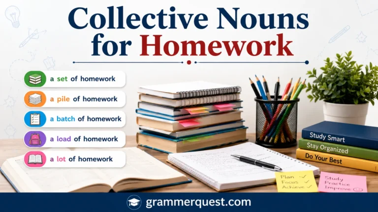 Collective Nouns for Homework