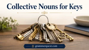 Collective Nouns for Keys