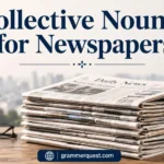 Collective Nouns for Newspapers