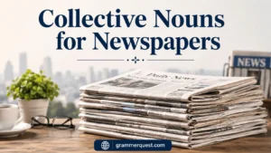 Collective Nouns for Newspapers