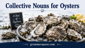 Collective Nouns for Oysters