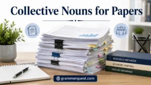 Collective Nouns for Papers