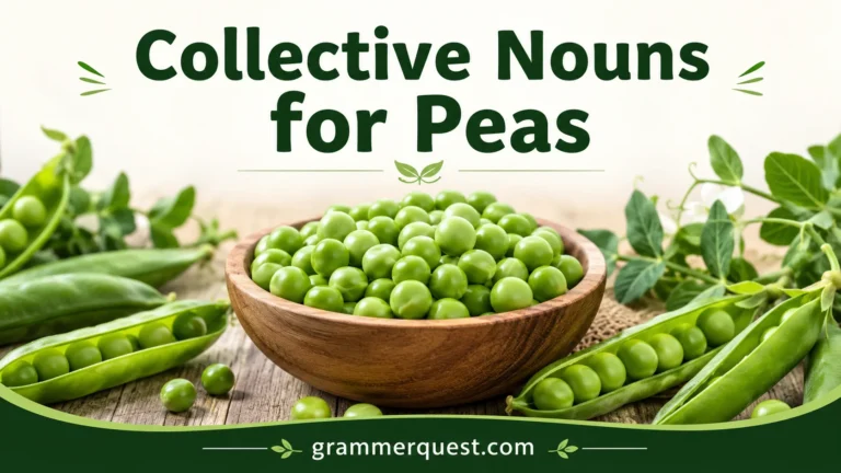 Collective Nouns for Peas