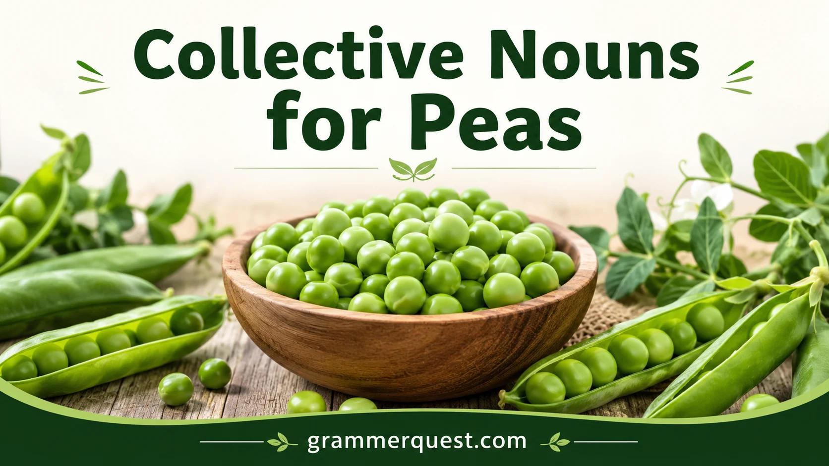 Collective Nouns for Peas