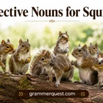 Collective Nouns for Squirrels