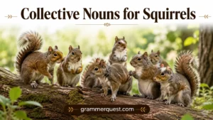 Collective Nouns for Squirrels