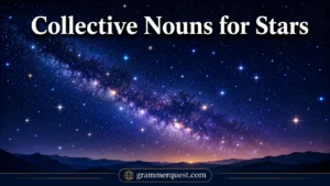 Collective Nouns for Stars