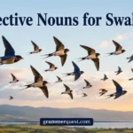 Collective Nouns for Swallows