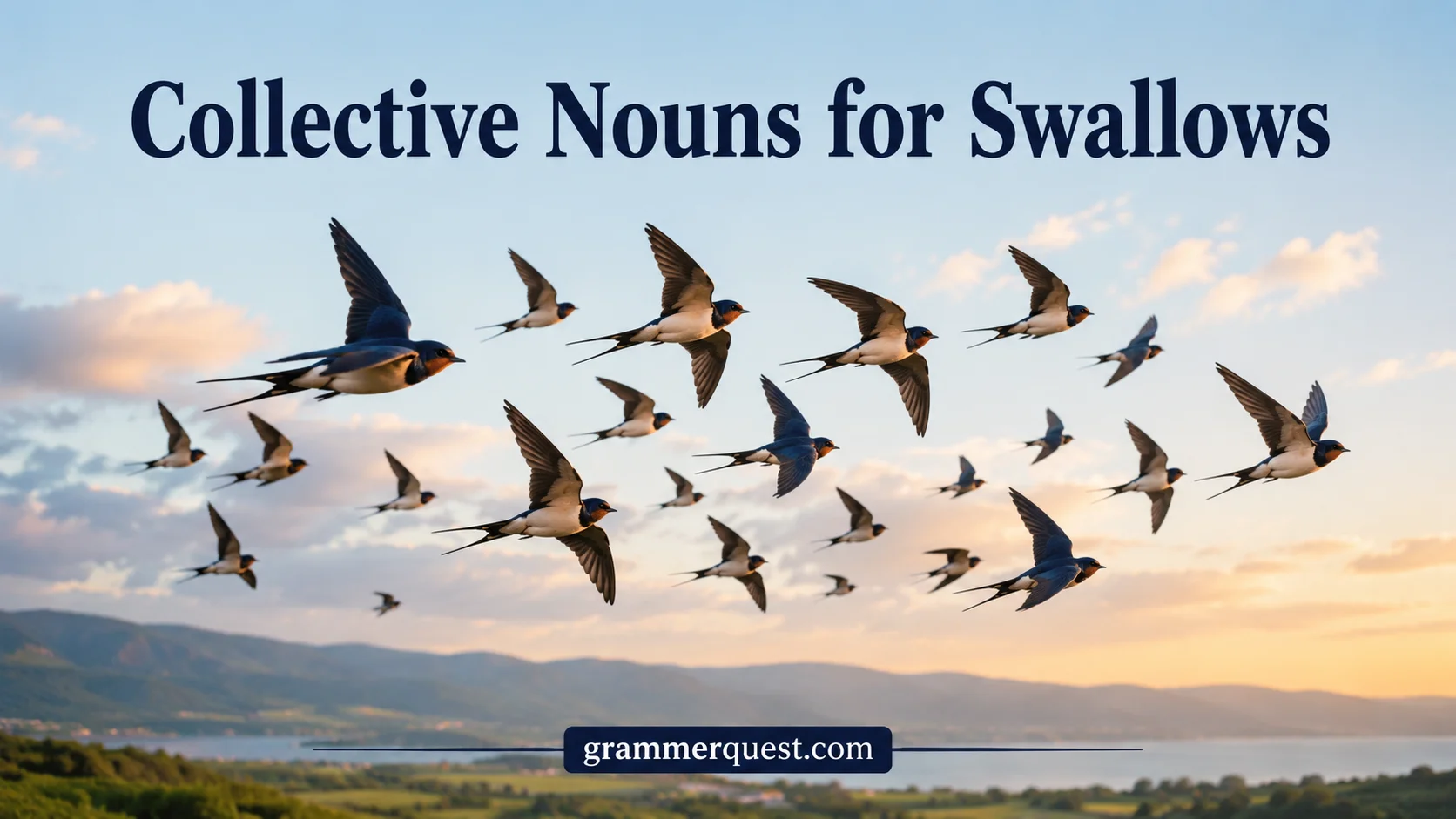 Collective Nouns for Swallows