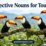 Collective Nouns for Toucans