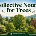 Collective Nouns for Trees