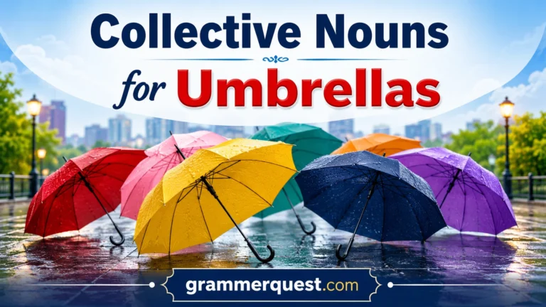 Collective Nouns for Umbrellas