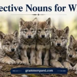 Collective Nouns for Whelps