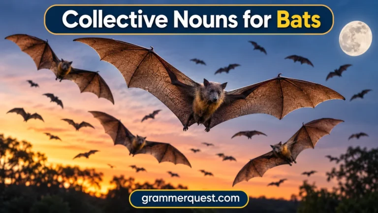 Collective Nouns for Bats