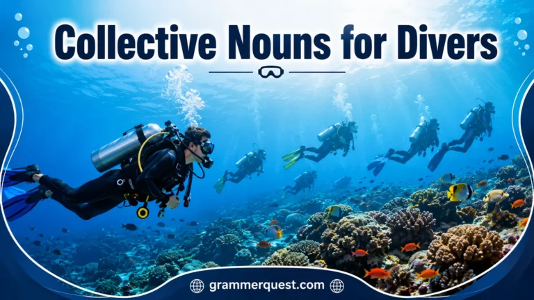 Collective Nouns for Divers