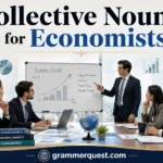 Collective Nouns for Economists