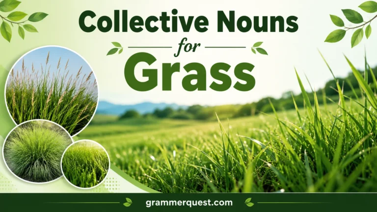 Collective Nouns for Grass