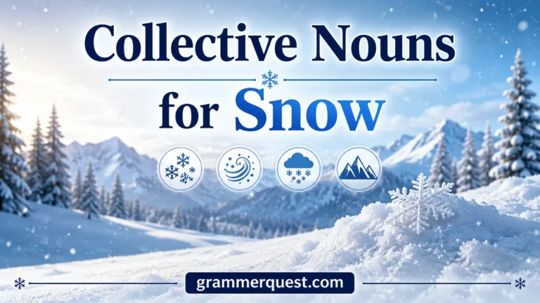 Collective Nouns for Snow
