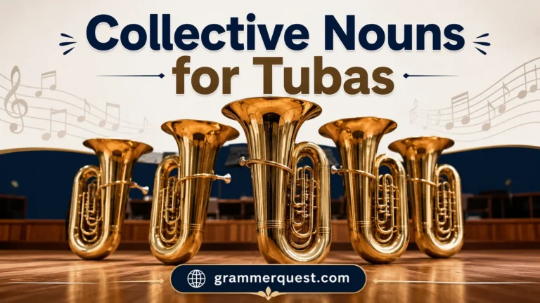 Collective Nouns for Tubas