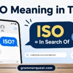 ISO Meaning in Text