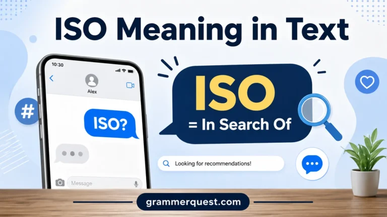 ISO Meaning in Text