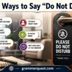 Other Ways to Say “Do Not Disturb”
