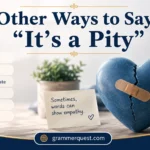 Other Ways to Say “It’s a Pity”